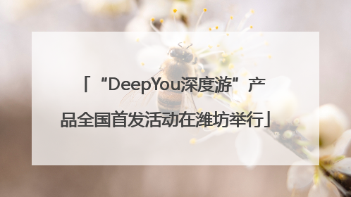 “DeepYou深度游”产品全国首发活动在潍坊举行
