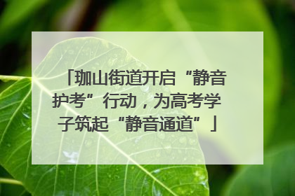 珈山街道开启“静音护考”行动，为高考学子筑起“静音通道”