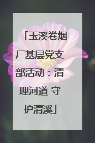 玉溪卷烟厂基层党支部活动：清理河道 守护清溪