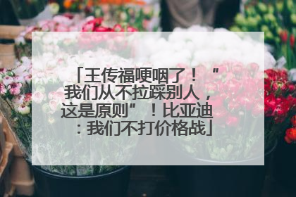 王传福哽咽了！“我们从不拉踩别人，这是原则”！比亚迪：我们不打价格战