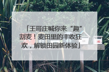 王哥庄喊你来“趣”割麦！麦田里的丰收狂欢，解锁田园新体验