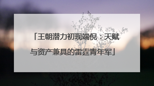 王朝潜力初现端倪：天赋与资产兼具的雷霆青年军