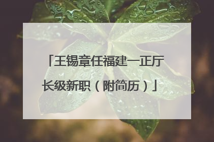 王锡章任福建一正厅长级新职（附简历）