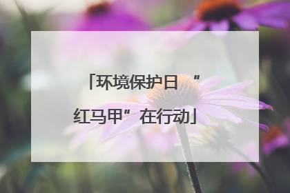 环境保护日 “红马甲”在行动