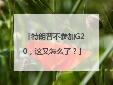 特朗普不参加G20，这又怎么了？
