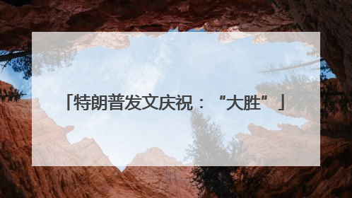 特朗普发文庆祝：“大胜”