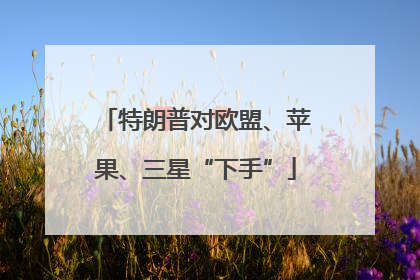 特朗普对欧盟、苹果、三星“下手”