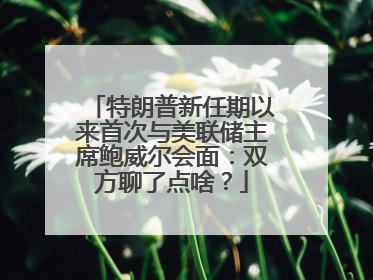 特朗普新任期以来首次与美联储主席鲍威尔会面：双方聊了点啥？