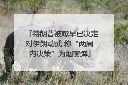 特朗普被曝早已决定对伊朗动武 称“两周内决策”为烟雾弹