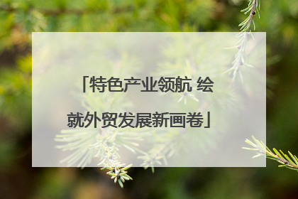 特色产业领航 绘就外贸发展新画卷