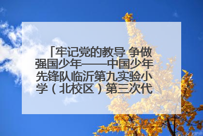 牢记党的教导 争做强国少年——中国少年先锋队临沂第九实验小学（北校区）第三次代表大会胜利召开