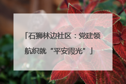 石狮林边社区：党建领航织就“平安霞光”