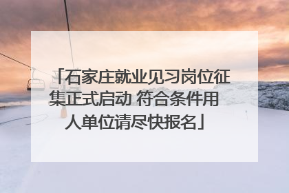 石家庄就业见习岗位征集正式启动 符合条件用人单位请尽快报名
