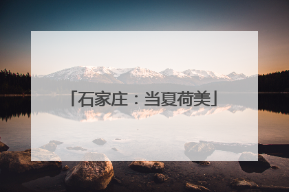 石家庄：当夏荷美