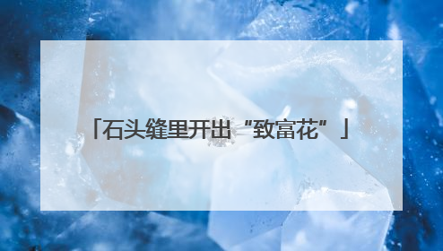 石头缝里开出“致富花”