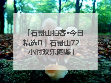 石景山拍客•今日精选⑲｜石景山72小时欢乐图鉴
