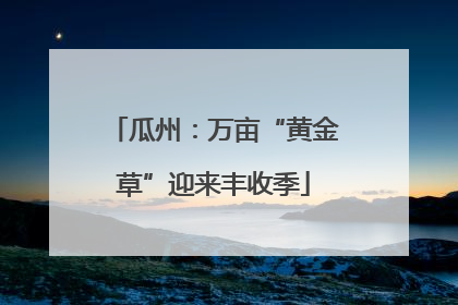 瓜州：万亩“黄金草”迎来丰收季
