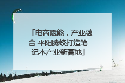 电商赋能，产业融合 平阳腾蛟打造笔记本产业新高地
