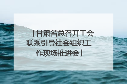 甘肃省总召开工会联系引导社会组织工作现场推进会