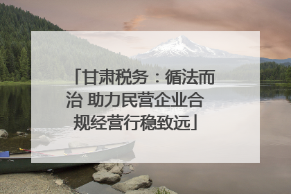 甘肃税务：循法而治 助力民营企业合规经营行稳致远