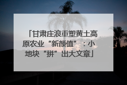 甘肃庄浪重塑黄土高原农业“新颜值”：小地块“拼”出大文章