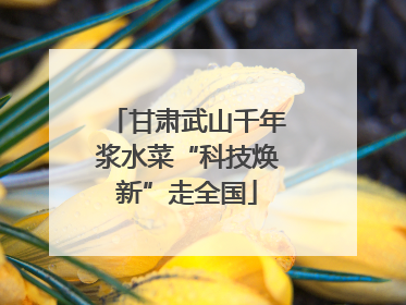 甘肃武山千年浆水菜“科技焕新”走全国