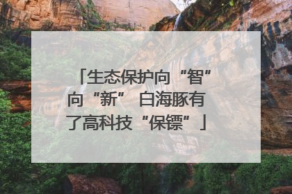 生态保护向“智”向“新” 白海豚有了高科技“保镖”