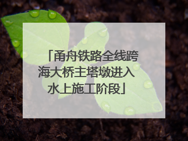 甬舟铁路全线跨海大桥主塔墩进入水上施工阶段
