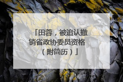 田蓉，被追认撤销省政协委员资格（附简历）