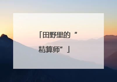 田野里的“精算师”