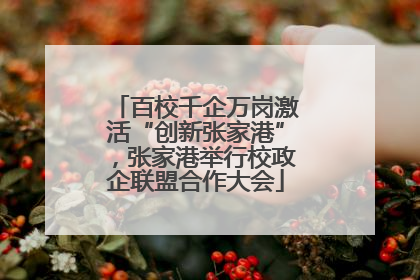 百校千企万岗激活“创新张家港”，张家港举行校政企联盟合作大会
