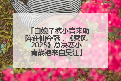 白娘子携小青来助阵许仙夺冠，《乘风2025》总决赛小青战袍来自吴江