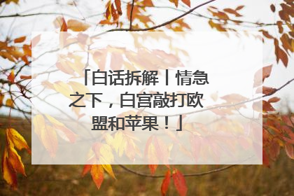 白话拆解丨情急之下，白宫敲打欧盟和苹果！