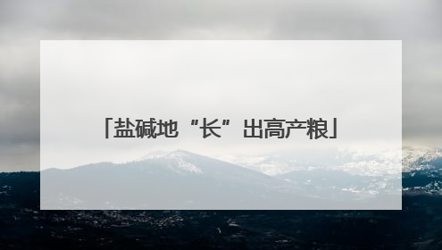 盐碱地“长”出高产粮