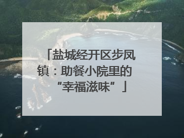 盐城经开区步凤镇：助餐小院里的“幸福滋味”