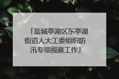 盐城亭湖区东亭湖街道人大工委组织防汛专项视察工作