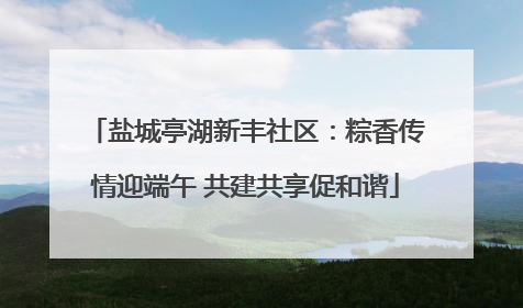 盐城亭湖新丰社区：粽香传情迎端午 共建共享促和谐