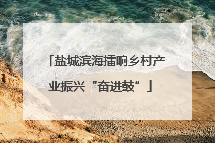 盐城滨海擂响乡村产业振兴“奋进鼓”