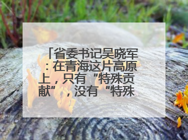 省委书记吴晓军：在青海这片高原上，只有“特殊贡献”，没有“特殊待遇”