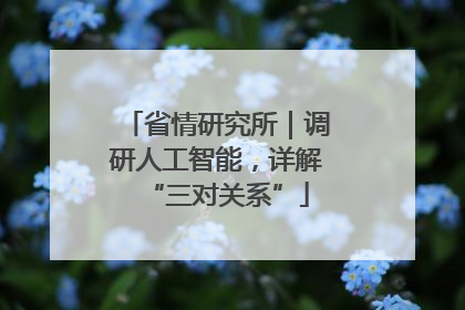 省情研究所｜调研人工智能，详解“三对关系”