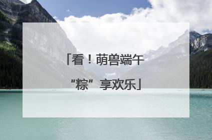 看！萌兽端午“粽”享欢乐