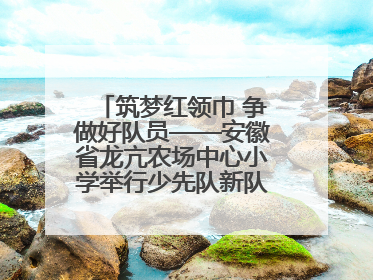 筑梦红领巾 争做好队员——安徽省龙亢农场中心小学举行少先队新队员入队仪式