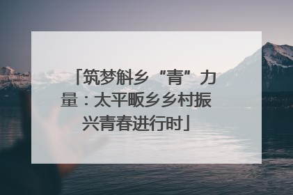 筑梦斛乡“青”力量：太平畈乡乡村振兴青春进行时