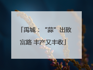 禹城：“蒜”出致富路 丰产又丰收