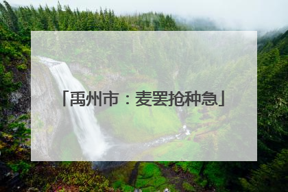 禹州市：麦罢抢种急