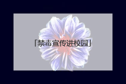 禁毒宣传进校园