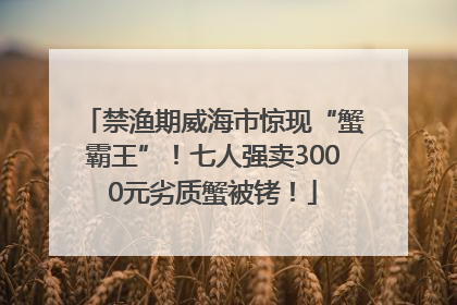 禁渔期威海市惊现“蟹霸王”！七人强卖3000元劣质蟹被铐！