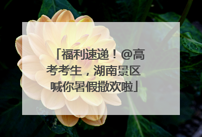福利速递！@高考考生，湖南景区喊你暑假撒欢啦