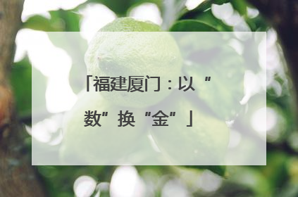 福建厦门：以“数”换“金”