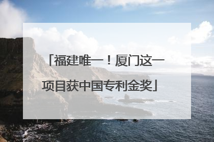 福建唯一！厦门这一项目获中国专利金奖
